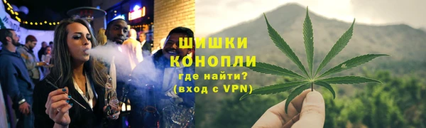 ПСИЛОЦИБИНОВЫЕ ГРИБЫ Белоозёрский