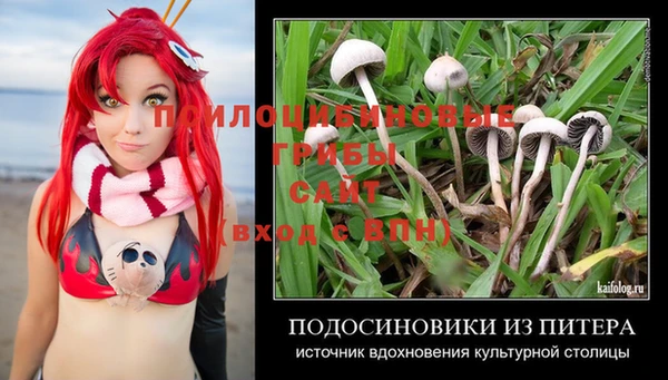 ПСИЛОЦИБИНОВЫЕ ГРИБЫ Белоозёрский