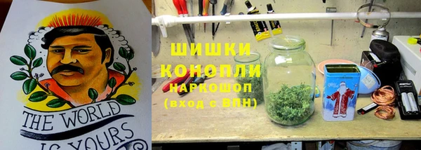 ПСИЛОЦИБИНОВЫЕ ГРИБЫ Белоозёрский