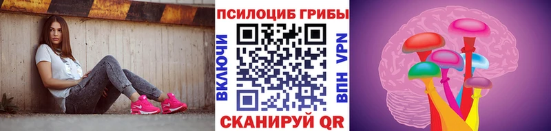 гидра ONION  Верещагино  Галлюциногенные грибы Psilocybine cubensis  где купить наркотик 